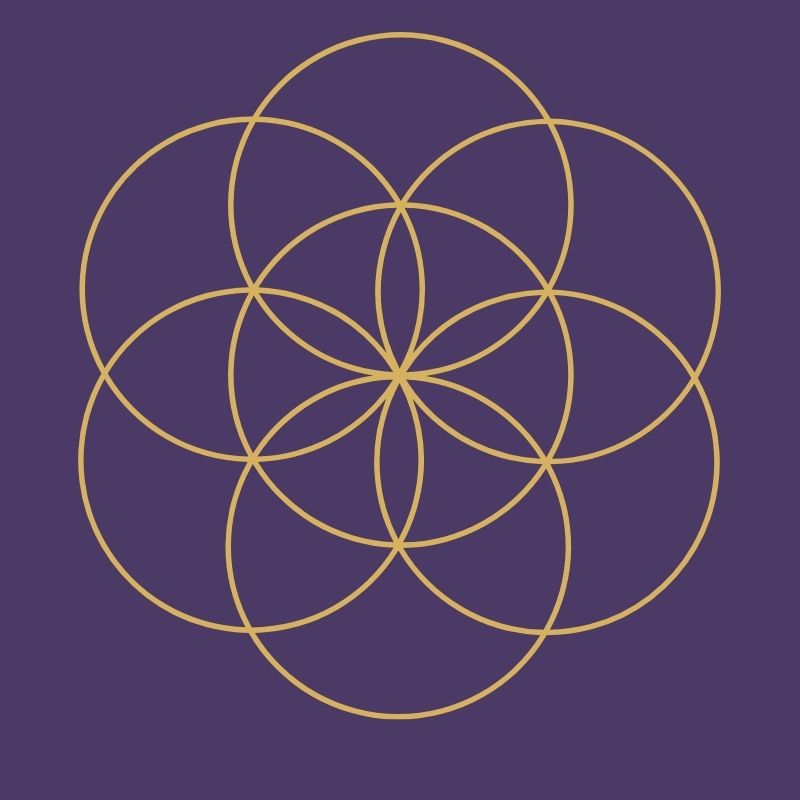 Comprendre la Graine de Vie : signification et symbolique spirituelle