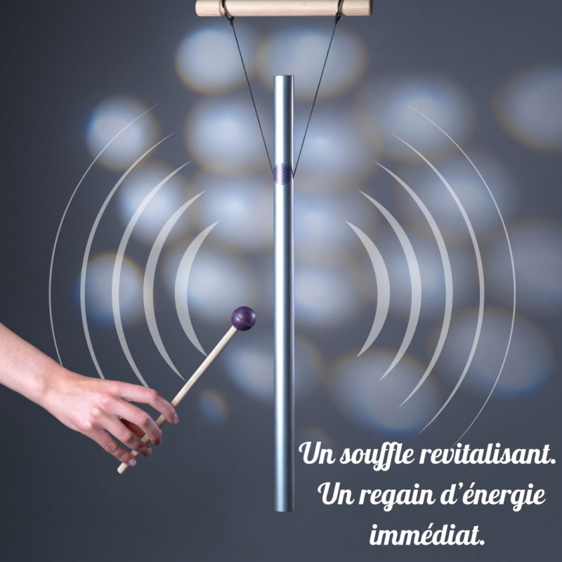 harmoniseur-285-hz