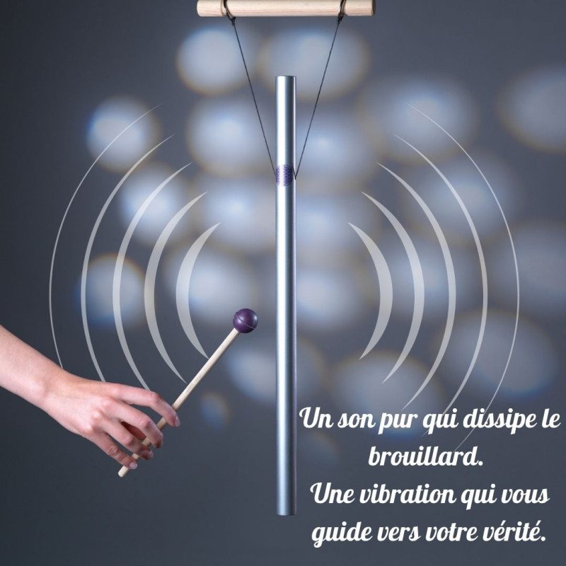 harmoniseur-741-hz