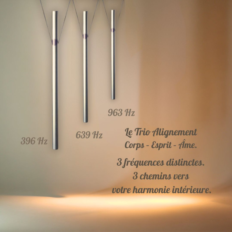 harmoniseur-963-hz-univers-fleur-de-vie