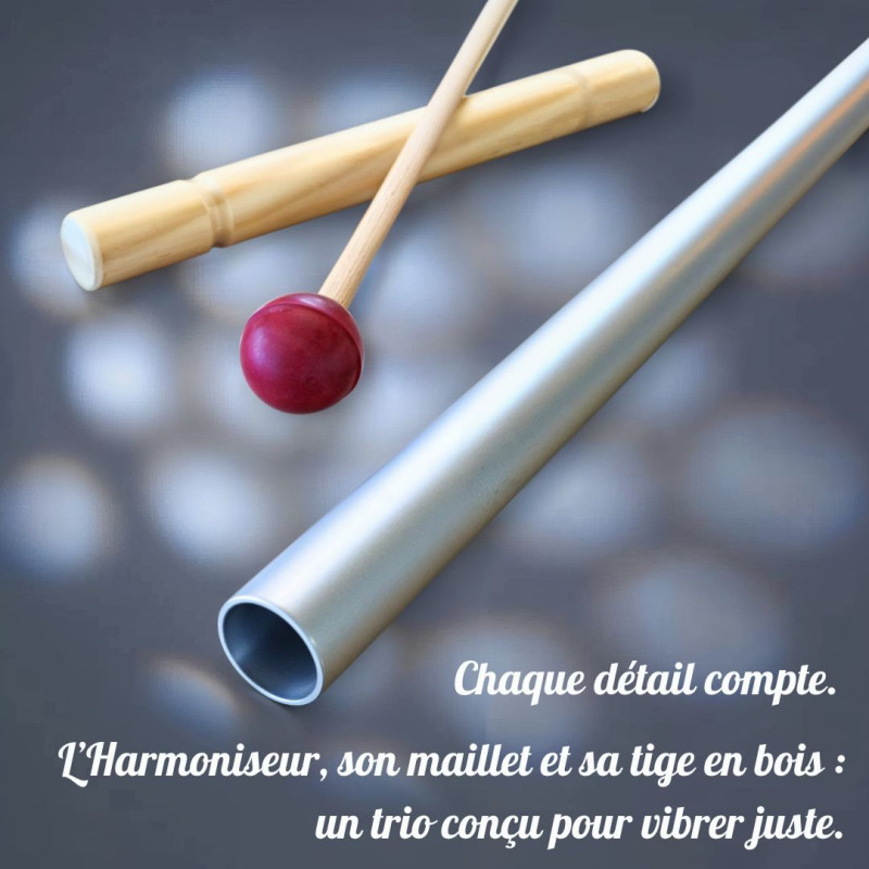 harmoniseur-sur-mesure–fréquence-spécifique