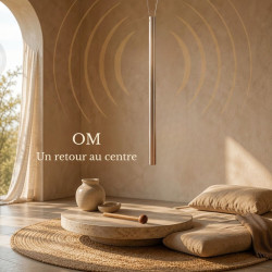 Harmoniseur OM