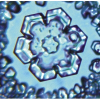 emoto-univers-fleur-de-vie