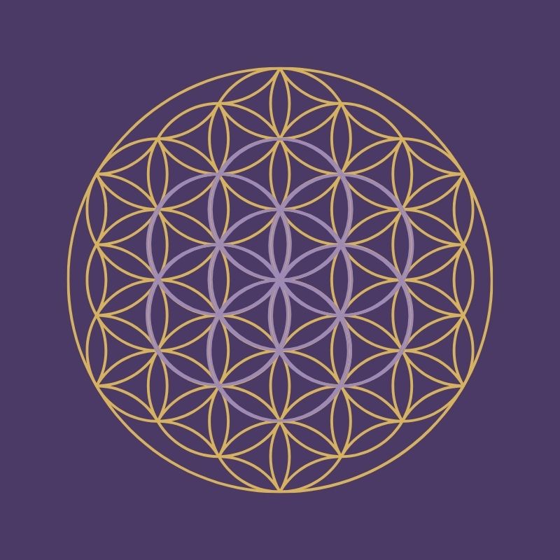 Illustration de la graine de vie évoluant vers la fleur de vie, symbole d’expansion, d’unité et d’harmonie universelle en géométrie sacrée